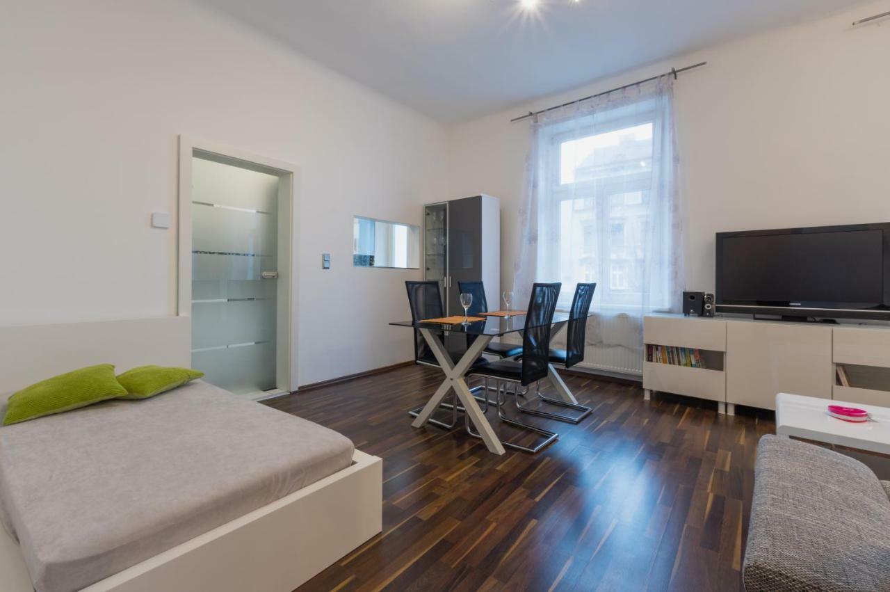 Spacious In Center With Terrace * Wien